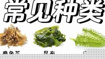日本干海藻怎么吃（日本干海藻怎么吃最好）